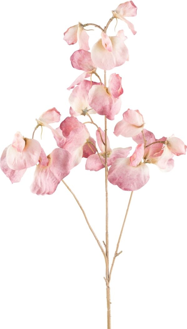 Vikke blomst rosa
