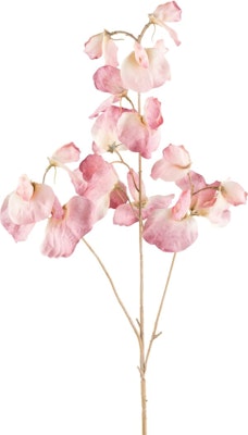 Vikke blomst rosa