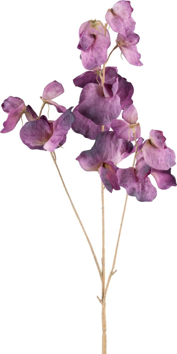 Vikke blomst Lilla