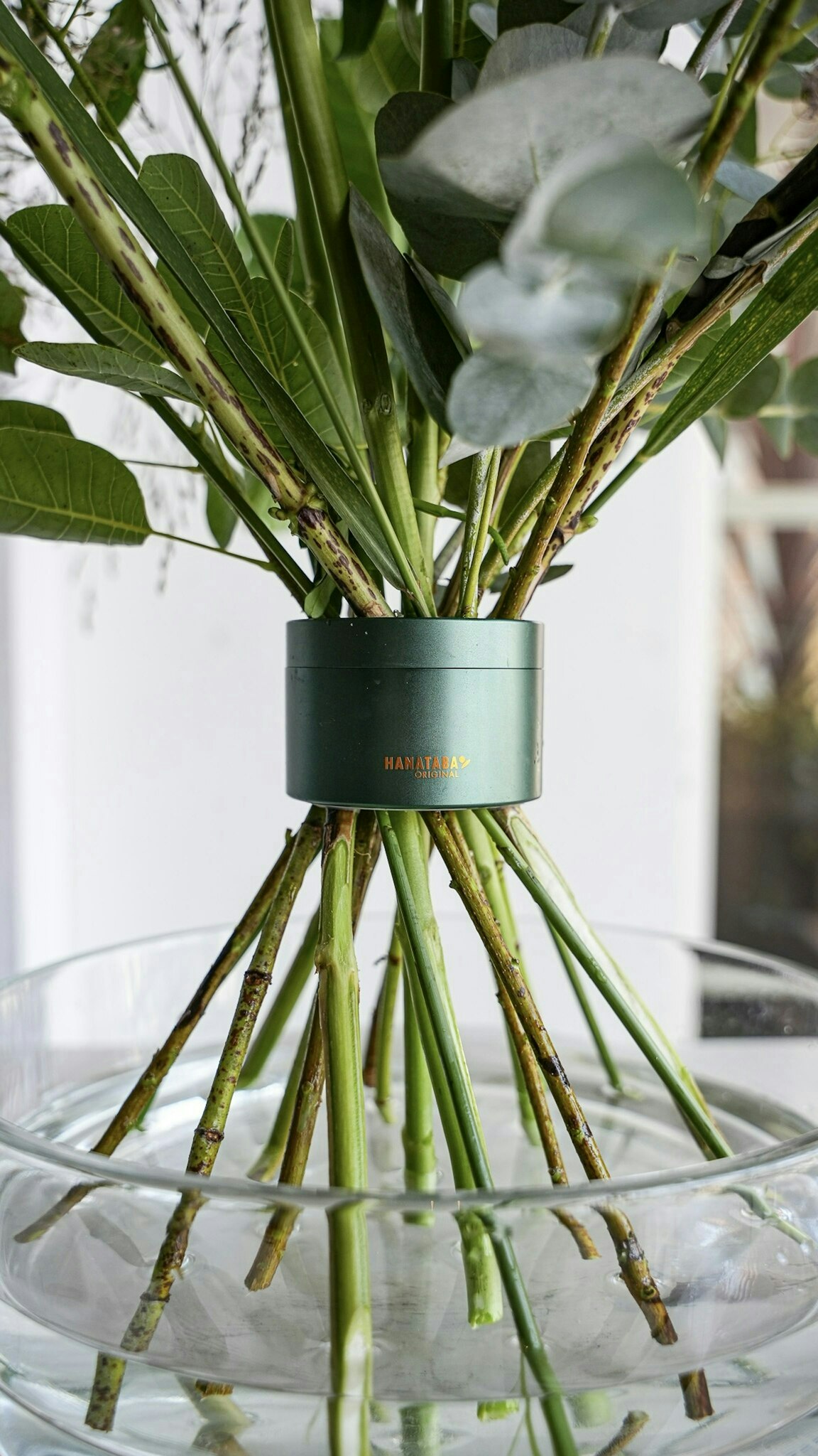 Hanataba Ivy Green