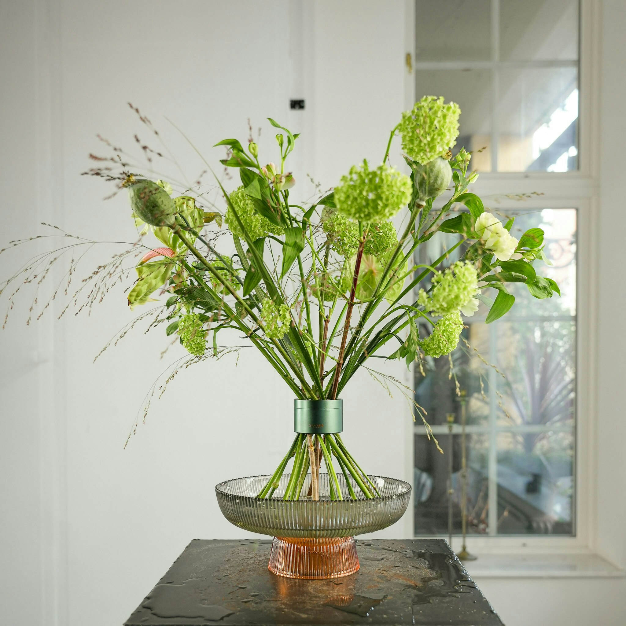 Hanataba Ivy Green