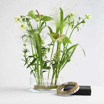 Blomsterfakir / Kenzan "The Ring" 120 mm