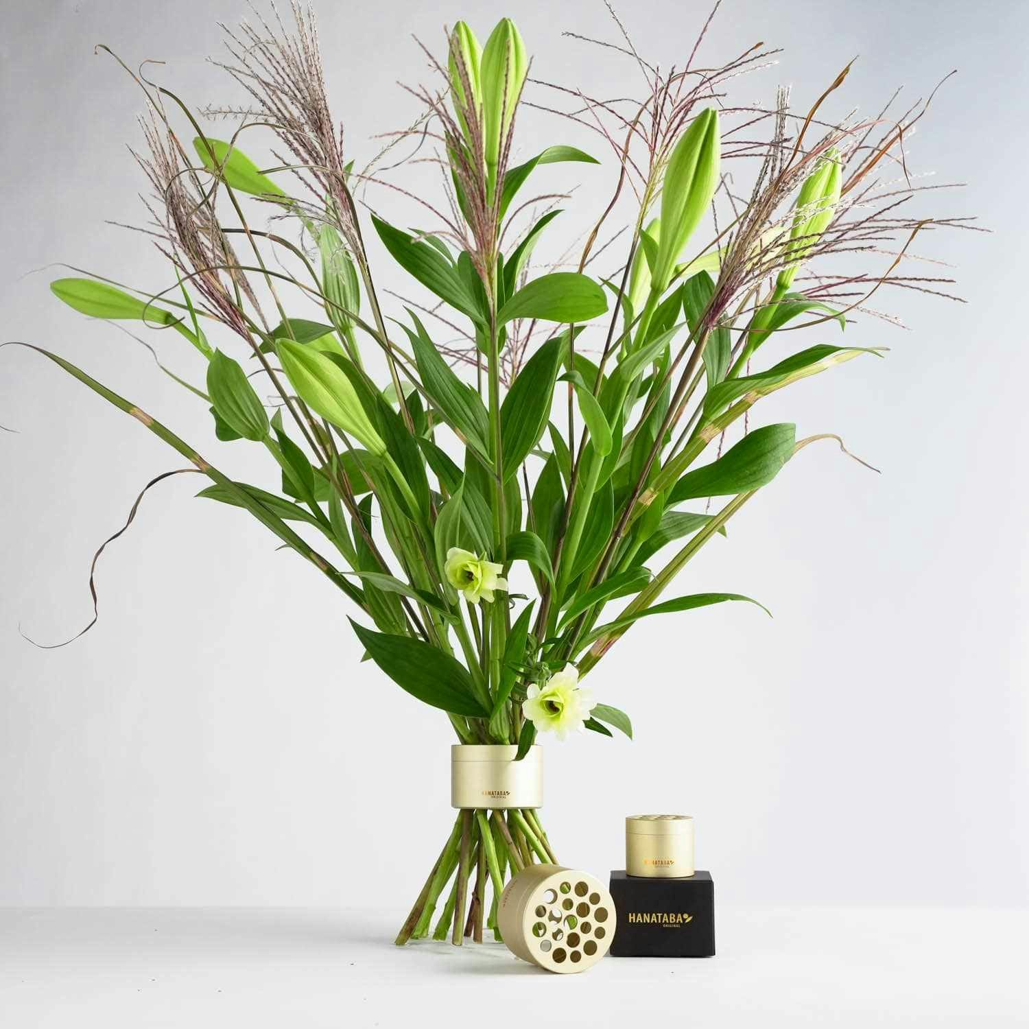 Hanataba guld champagne