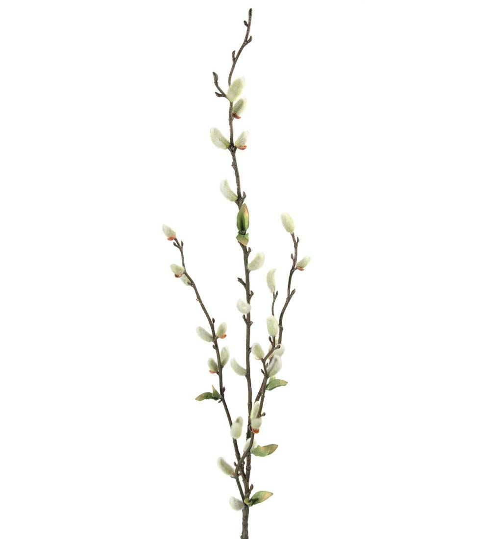 Gæs gren