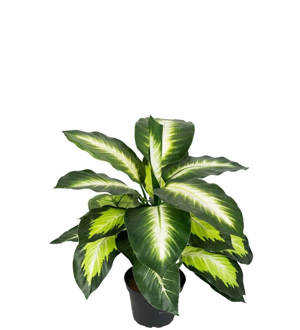 Prikkeblad