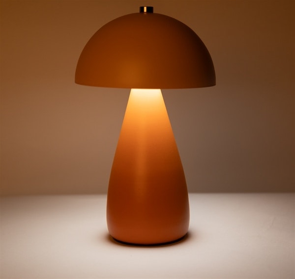 Mrs. Rechargable orange/pink