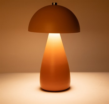 Mrs. Rechargable orange/pink