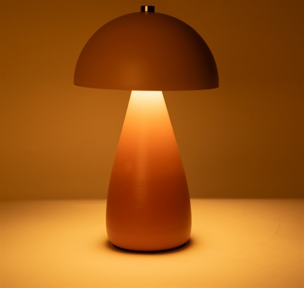 Mrs. Rechargable orange/pink