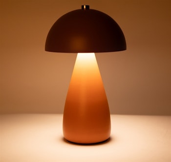 Mrs. Rechargable orange/violet