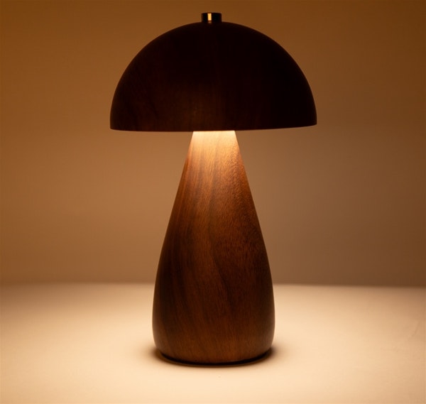 Mrs. Rechargable teak look
