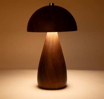 Mrs. Rechargable teak look