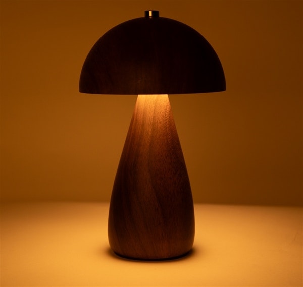 Mrs. Rechargable teak look