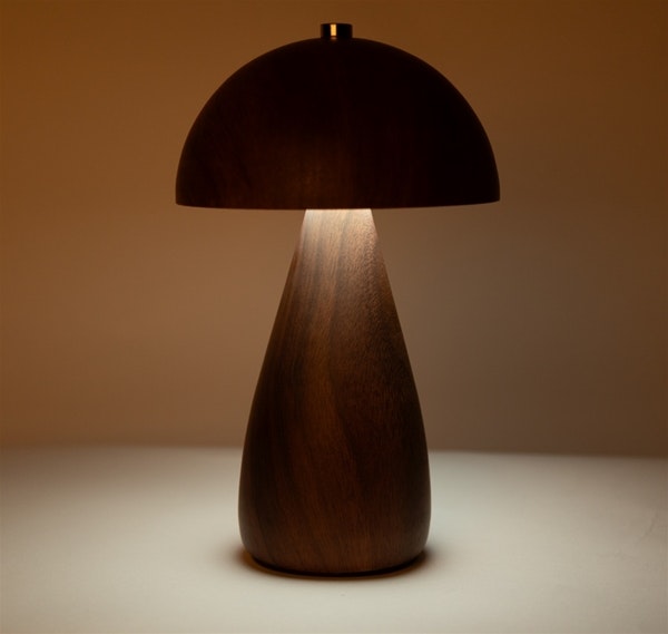 Mrs. Rechargable teak look