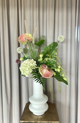 Anthurium multifarvet