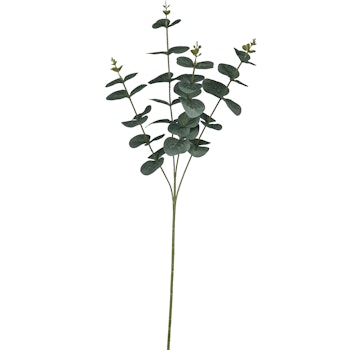 Eukalyptus buket