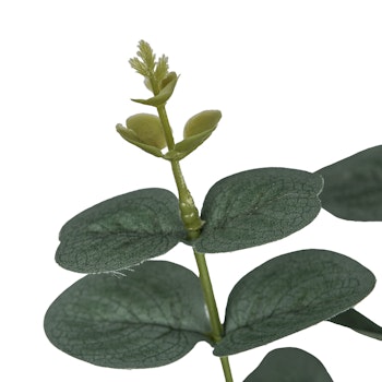 Eukalyptus buket