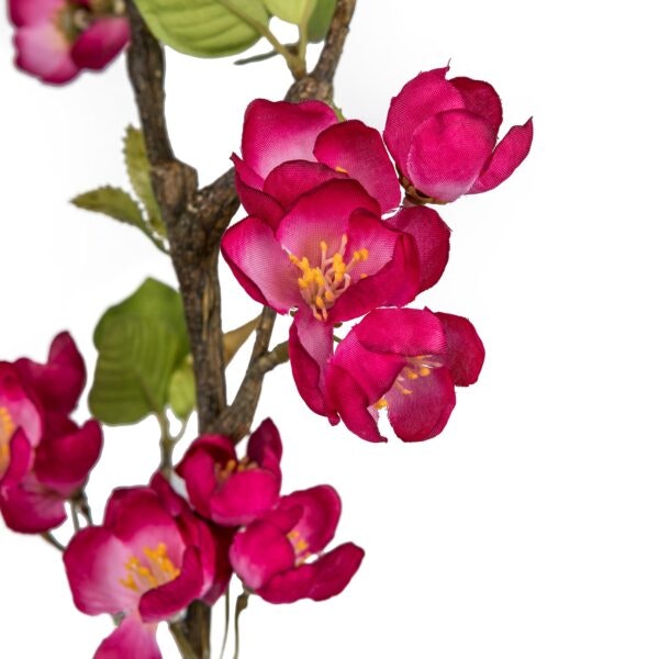 Æbleblomst gren Pink