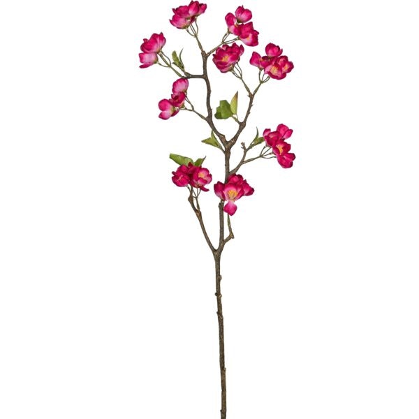Æbleblomst gren Pink