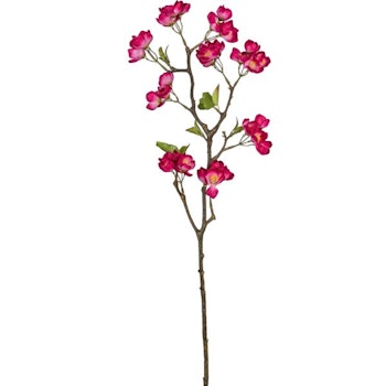 Æbleblomst gren Pink