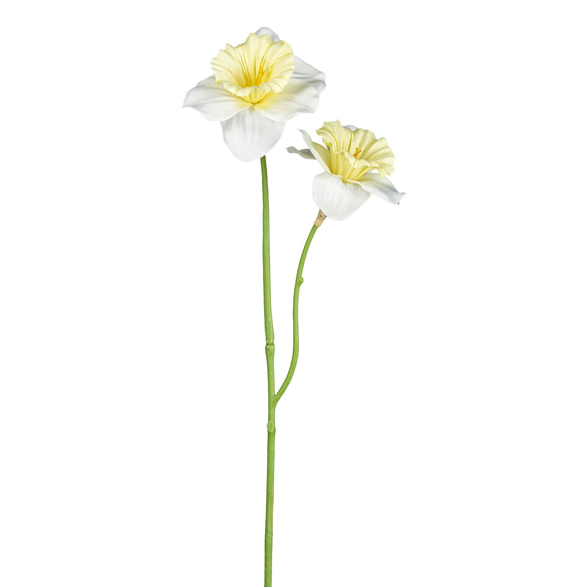 Påskelilje creme