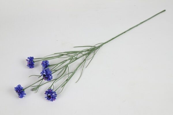 Kornblomst blå