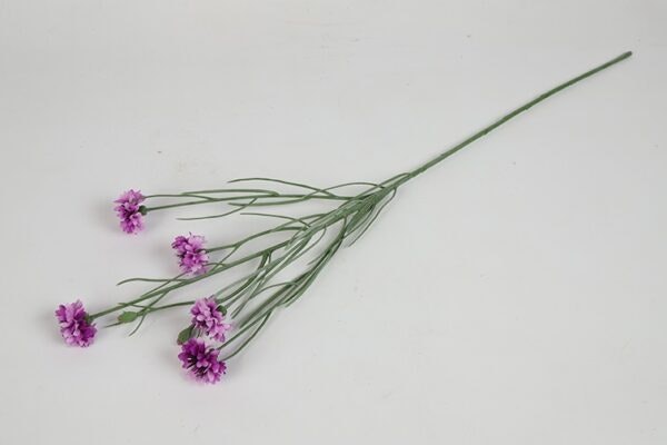Kornblomst lyslilla