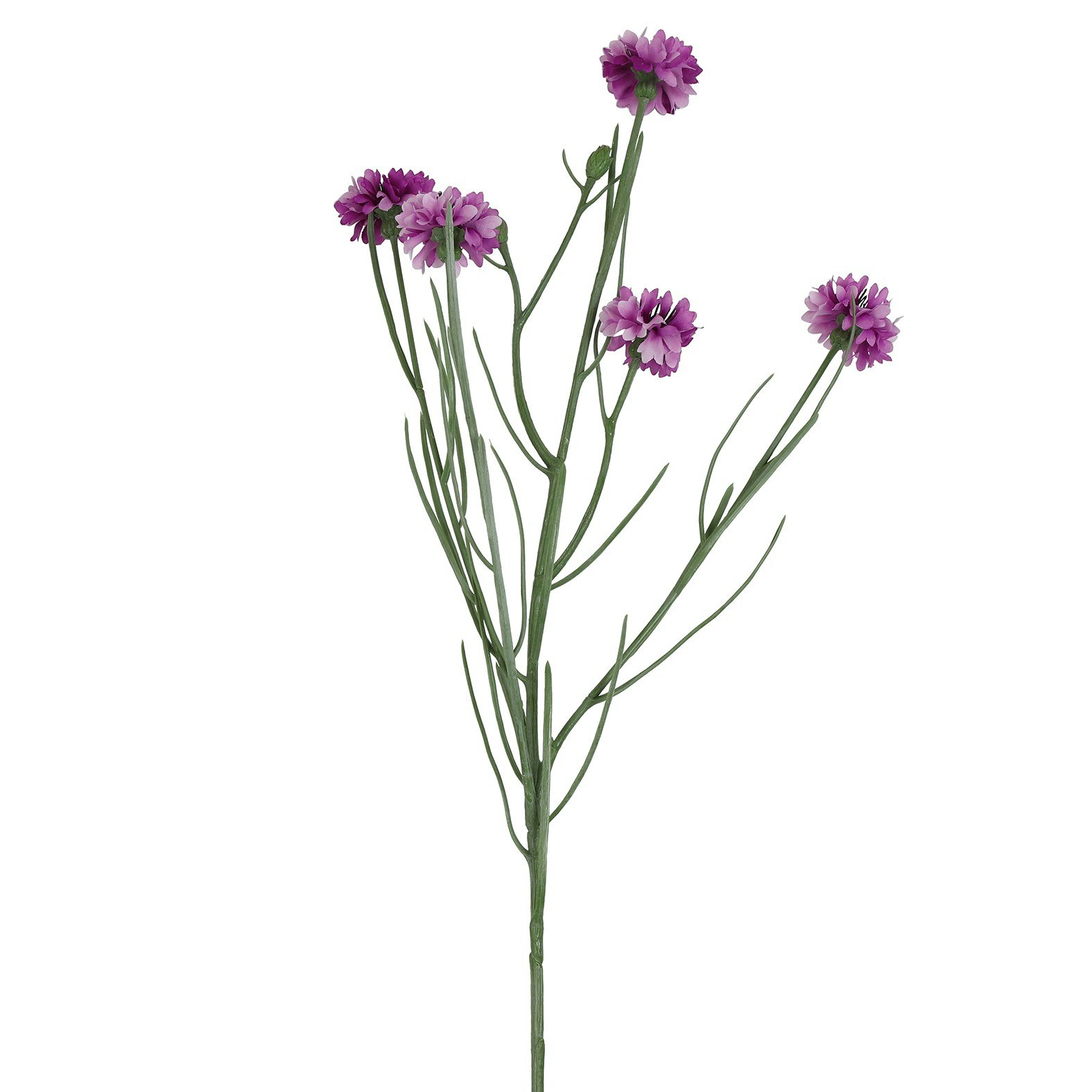 Kornblomst lyslilla