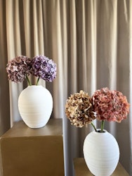 Hortensia lilla