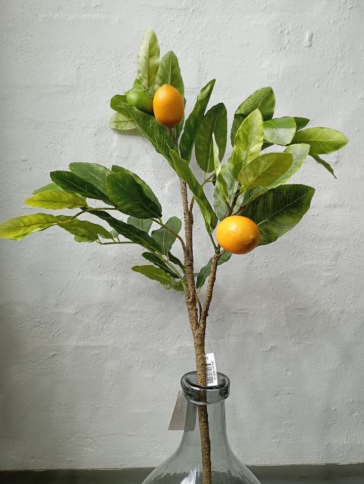 Stor citron gren