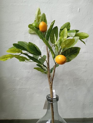 Stor citron gren