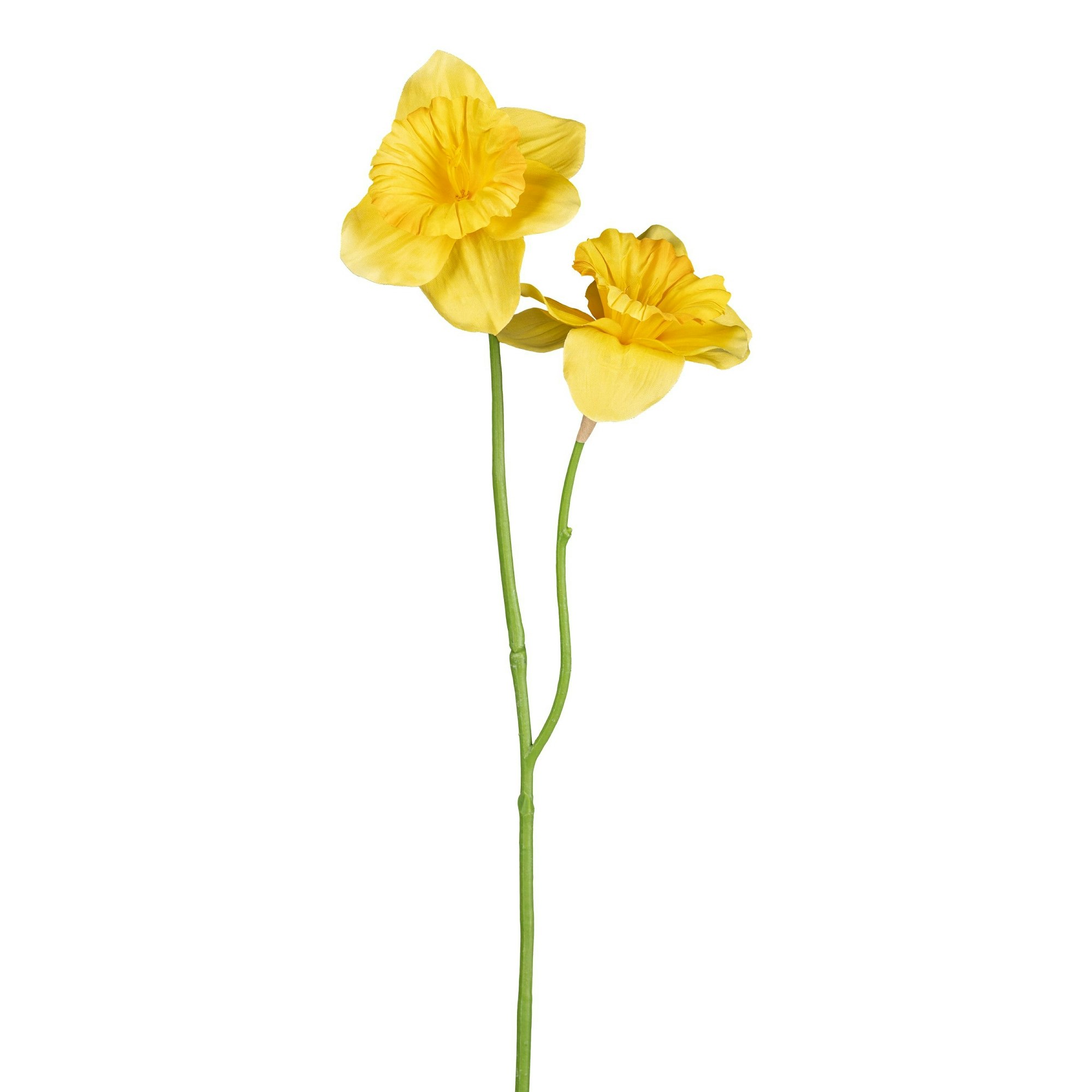 Påskelilje gul