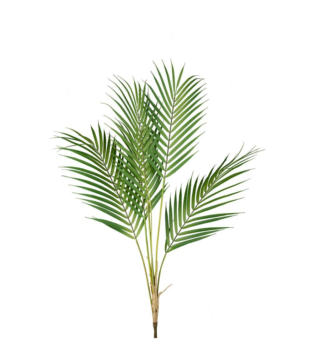 Bergs palme blad