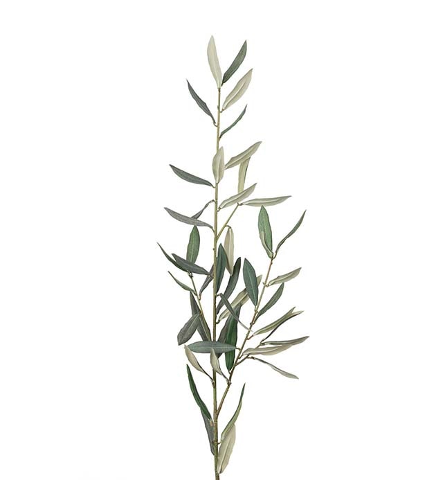 Olivengren