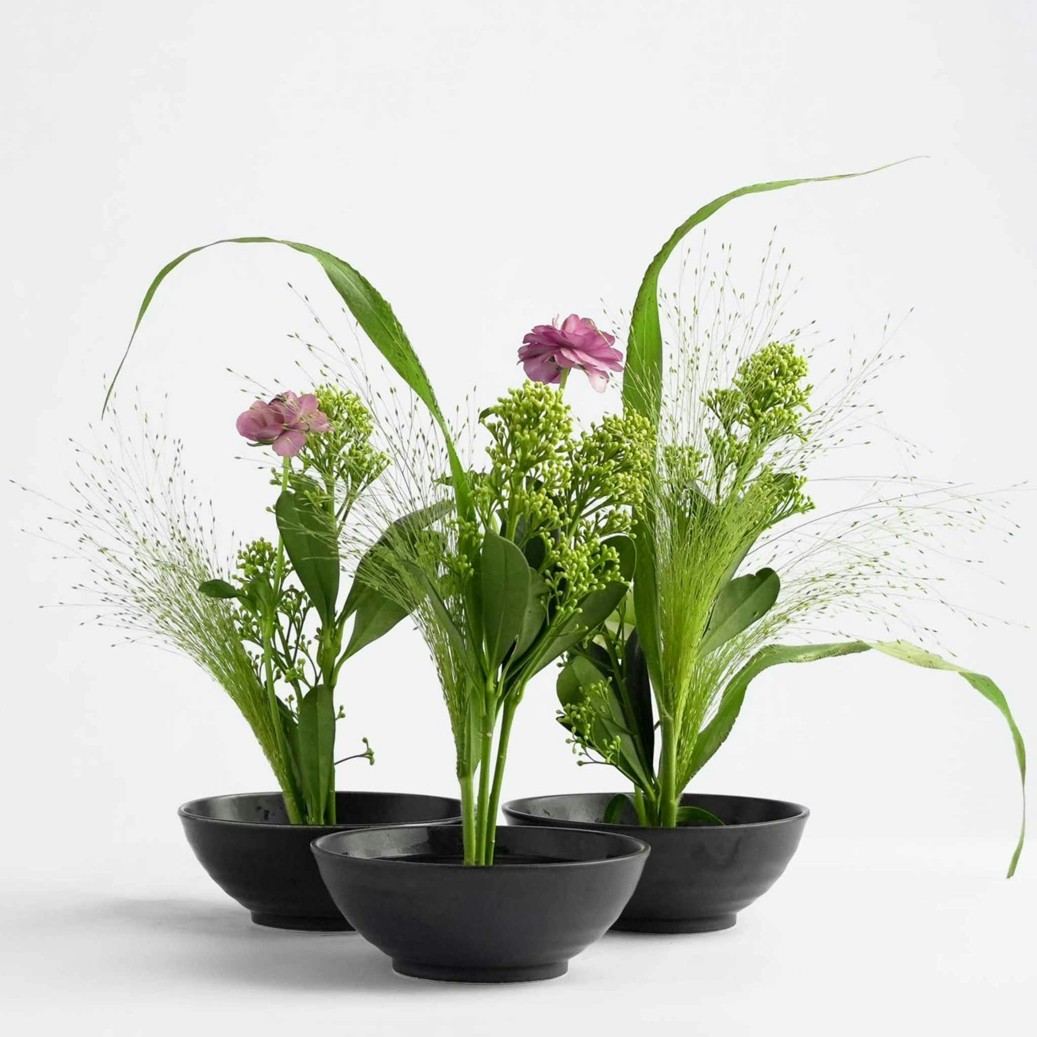 Hanataba Blomster Fakir, Kenzan
