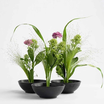 Hanataba Blomster Fakir, Kenzan