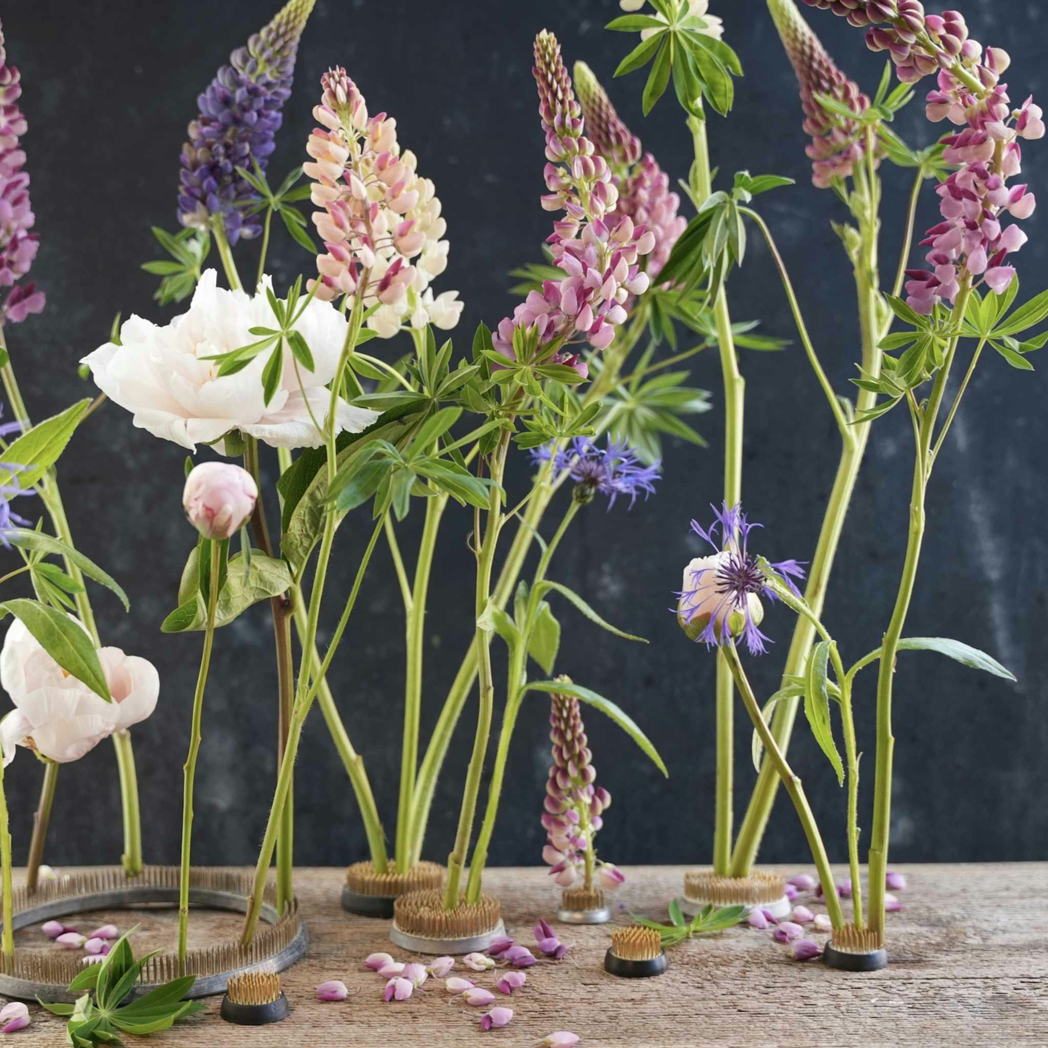Hanataba Blomster Fakir, Kenzan