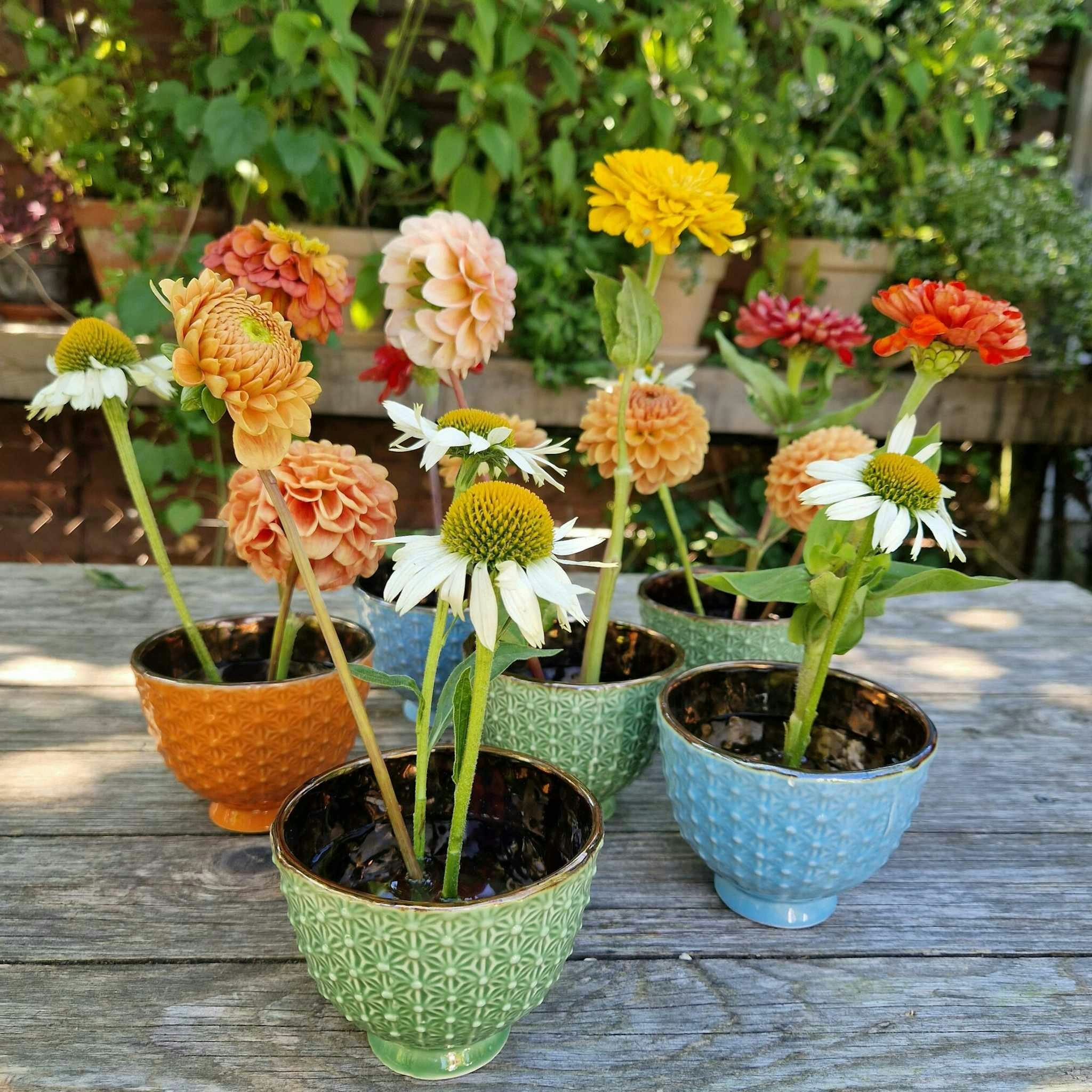 Hanataba Blomster Fakir, Kenzan
