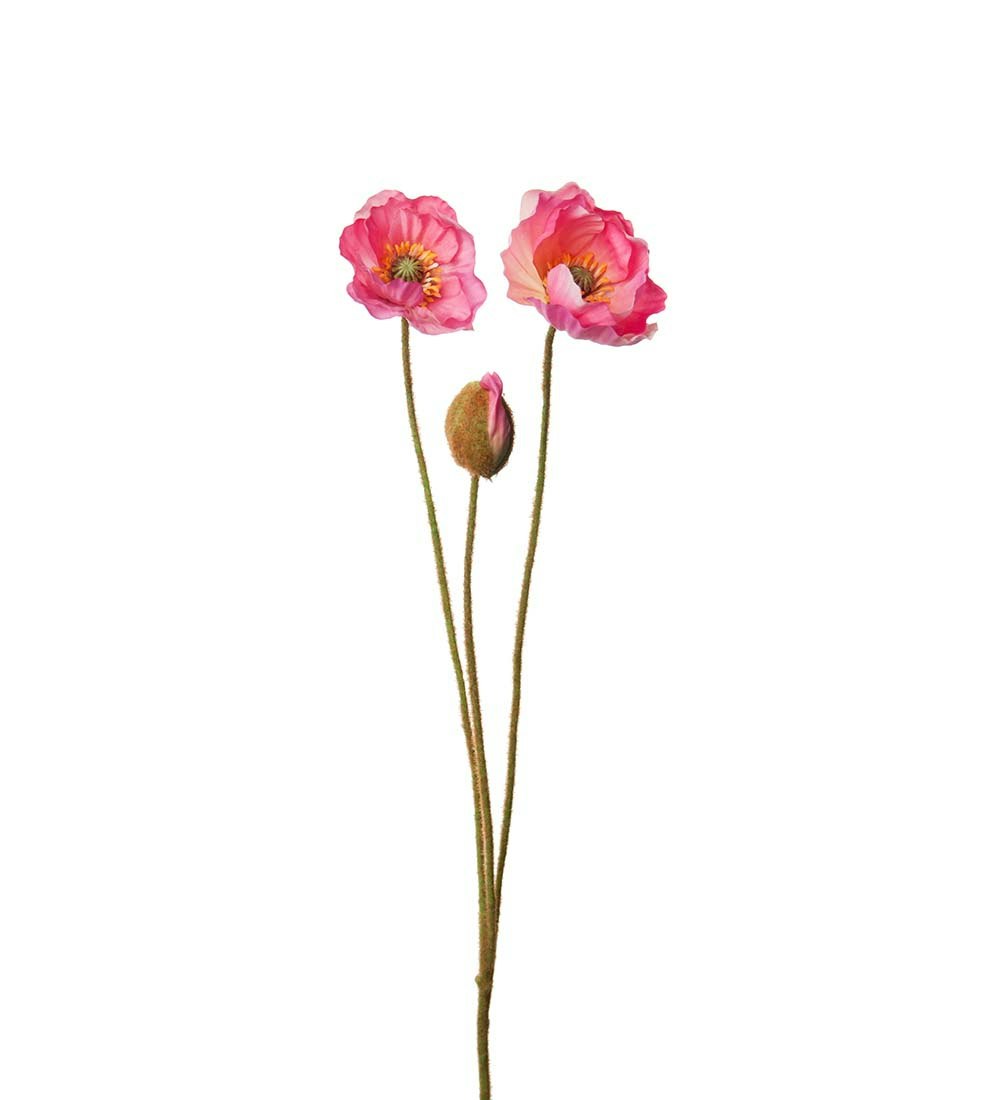 Valmue Pink