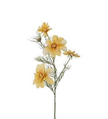Hybenrose Sart gul