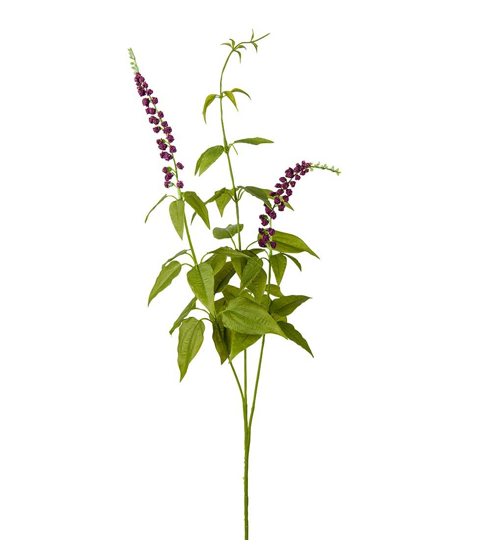 Lavendel busk