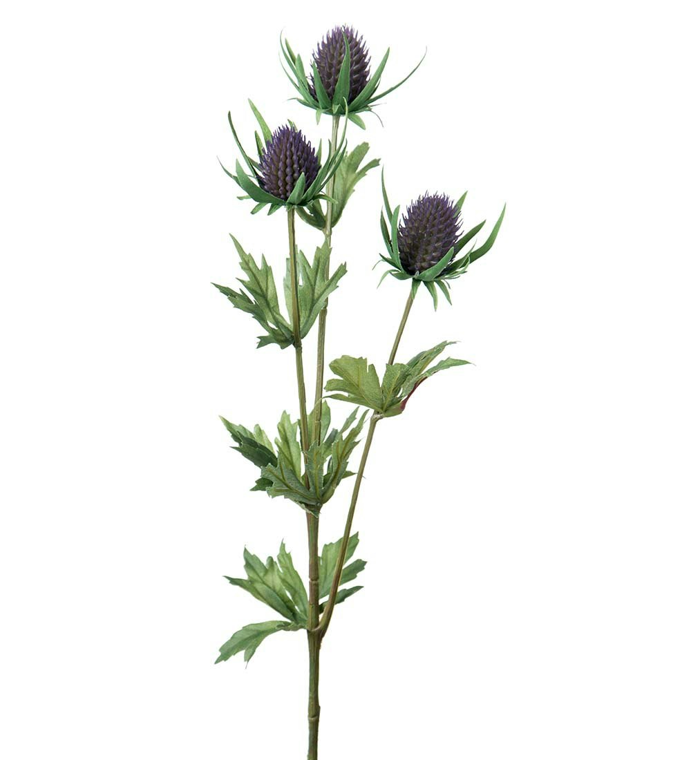 Tidsel lilla