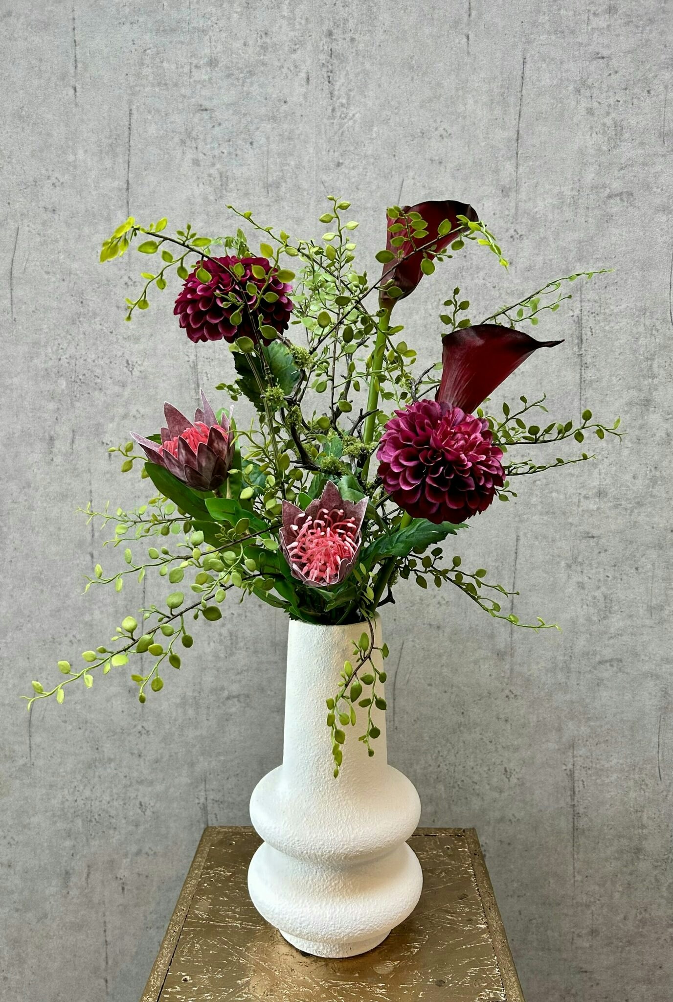 Muhlenbeckia gren