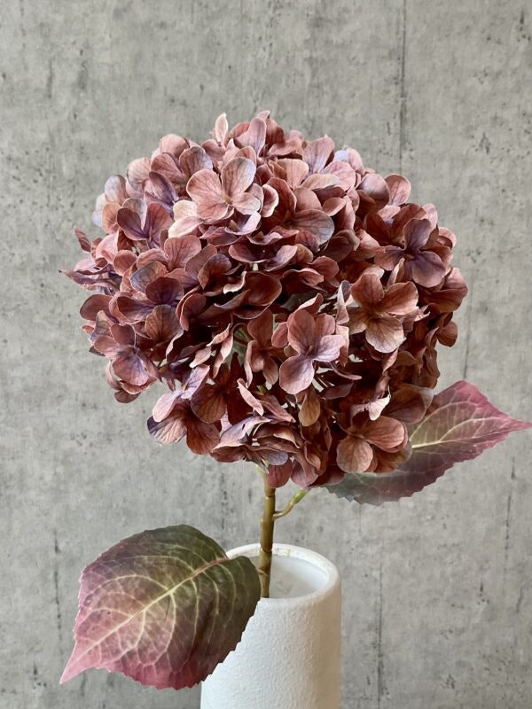 Hortensia copper