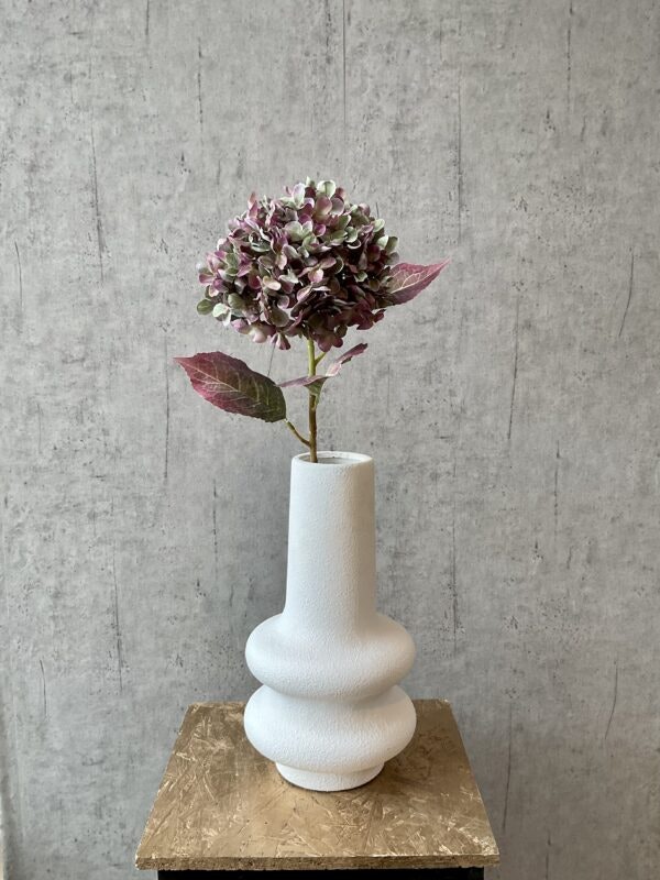 Hortensia Grøn/lilla