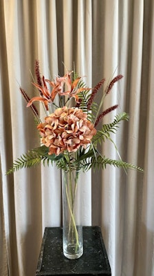 Nerine cinnamon