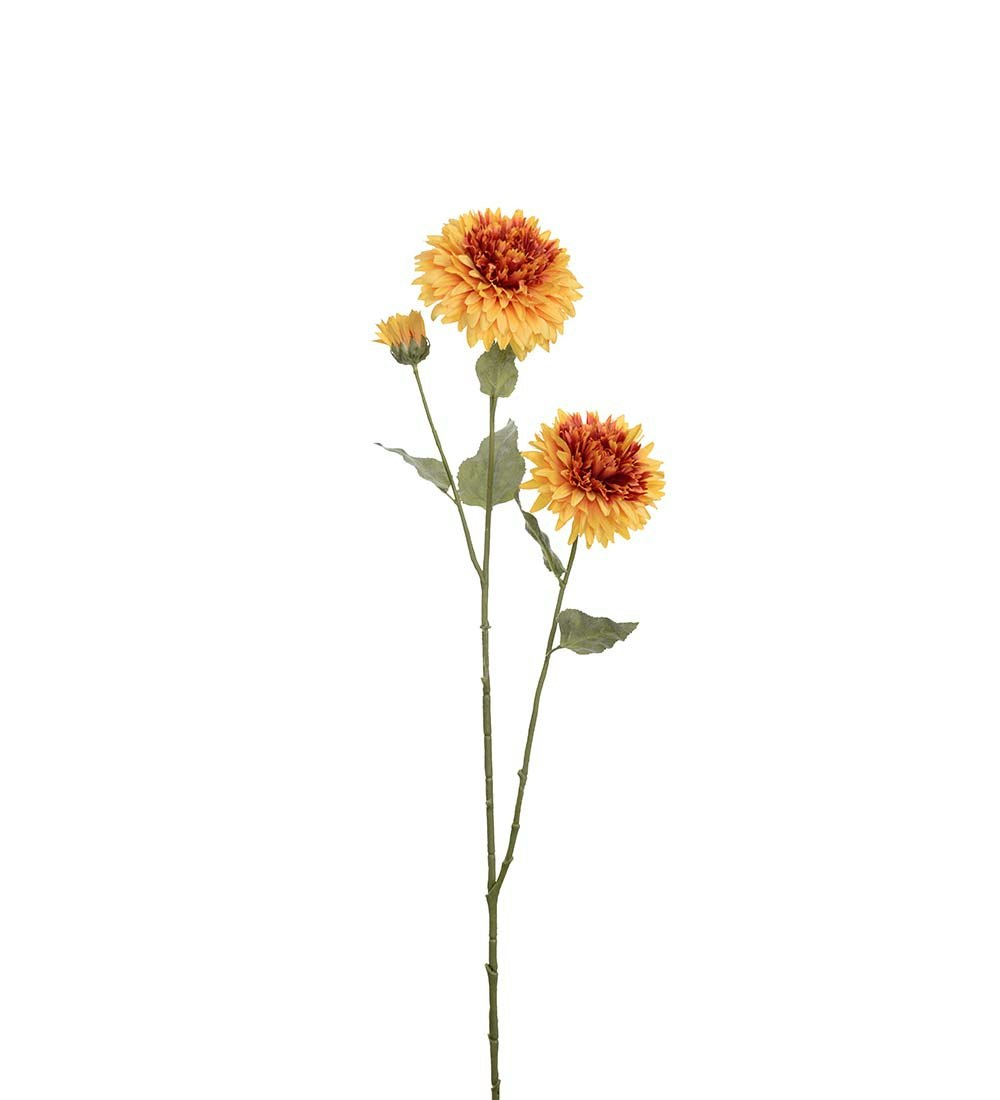 Solsikke/solblomst