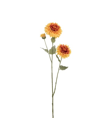 Solsikke/solblomst