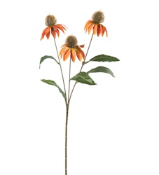 Solhat Orange