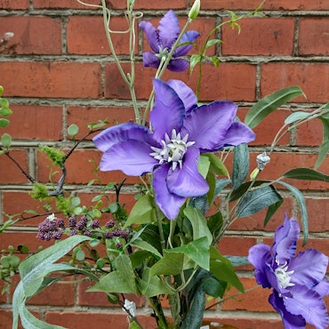 Buket med Clematis
