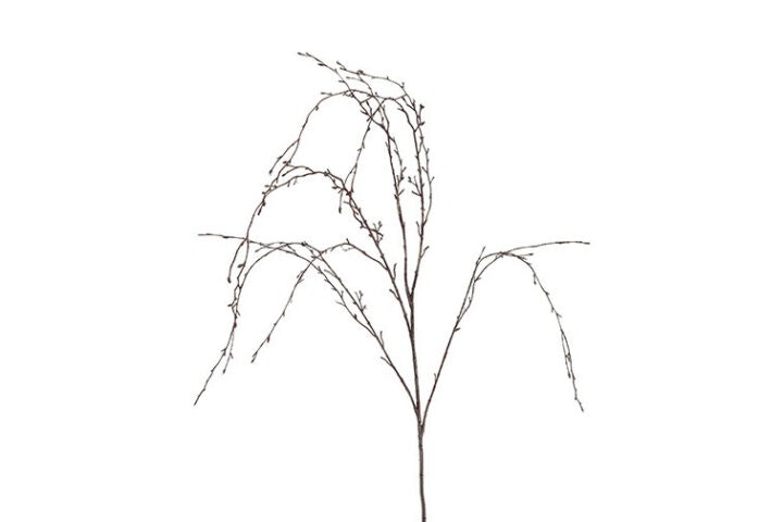 Birkegren hænge